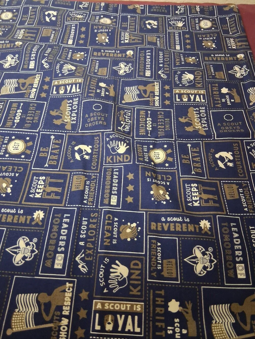 Boy Scout Homemade Standard Size Pillowcase.